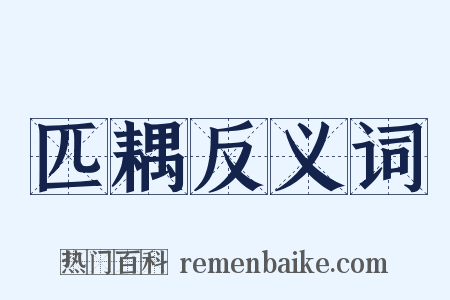 匹耦反义词是什么意思的图片